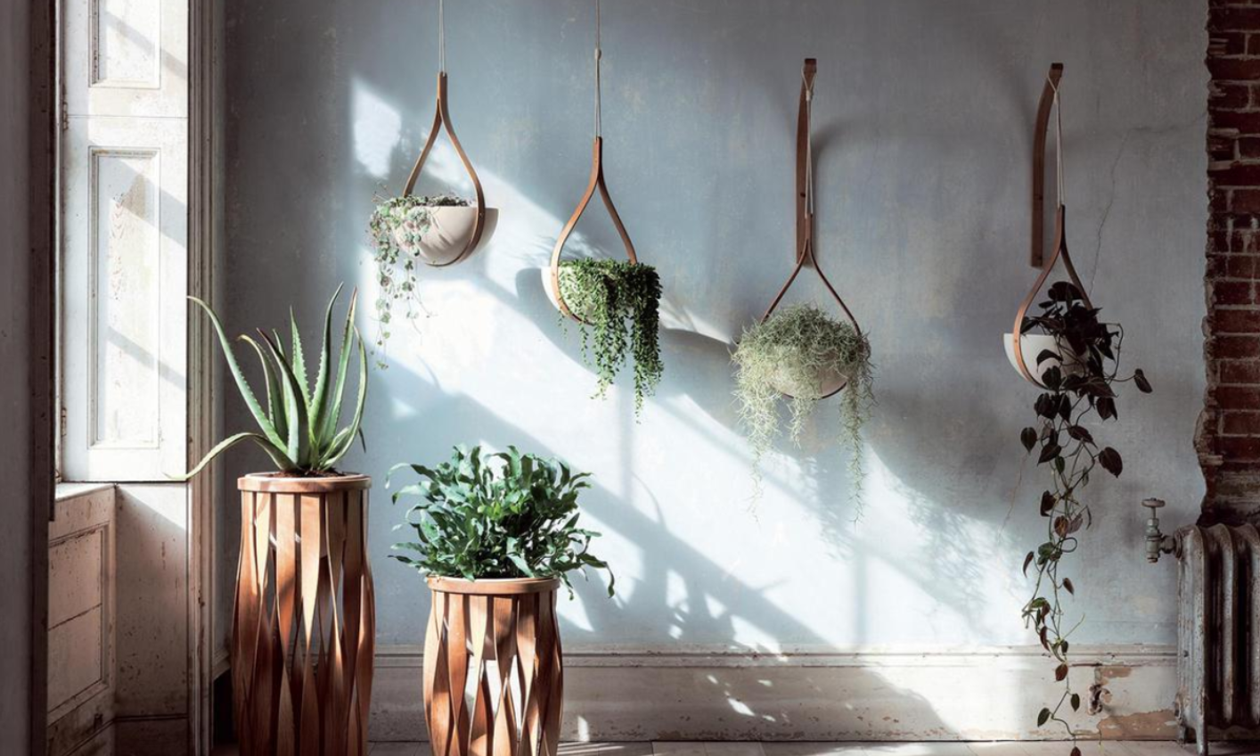 Biophilic design could be the key to happy home